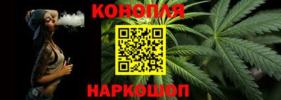 гашик Шебекино
