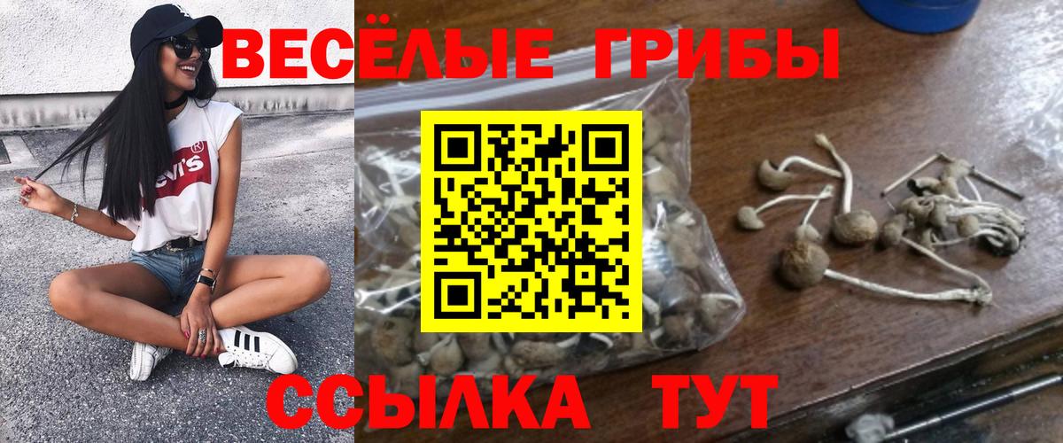 A PVP СОЛЬ кристаллы  Вход с VPN  MDMA  COCAIN  ГАШ  Карталы  МАРИХУАНА  ГАШИШ  Мефедрон  