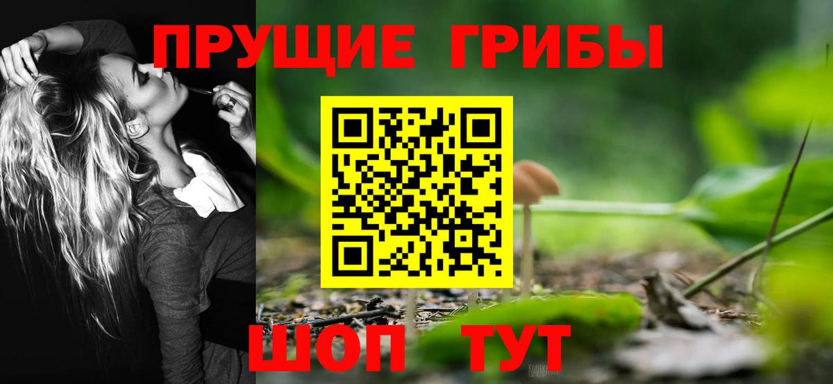 Галлюциногенные грибы Psilocybe Карталы